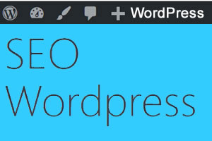 301 WordPress umleiten: Schritt-für-Schritt-Anleitung zum Erstellen von Weiterleitungen