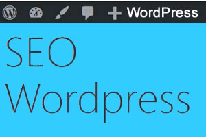 Was ist FTP? Leitfaden für Anfänger zu FTP für WordPress-Benutzer Was ist FTP? Leitfaden für Anfänger zu FTP für WordPress-Benutzer