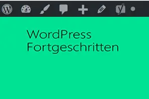 Wordpress lokal installieren